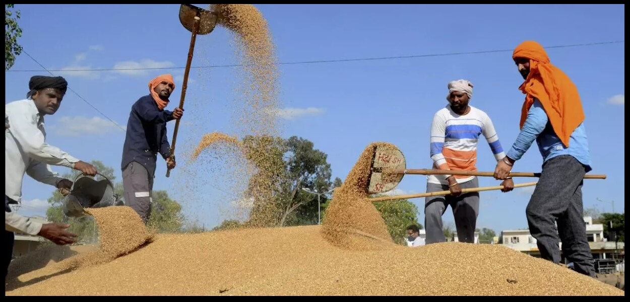<span class='other_title'>Wheat procurement started in Punjab</span> ਪੰਜਾਬ ‘ਚ ਕਣਕ ਦੀ ਖਰੀਦ ਸ਼ੁਰੂ Thumbnail